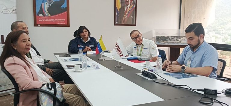 FIDELZ debate avances de proyectos para fortalecer el SEN